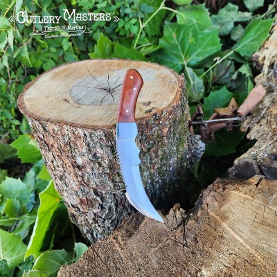 Rosewood Tanto Tip Precision Tool | Sharp and Elegant Craftsmanship