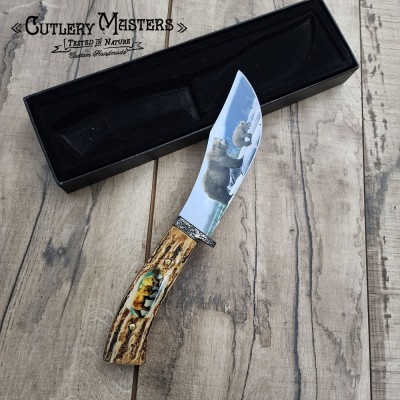 Native Collectors Bear Bowie Knife | Stainless Steel & Stag Handle