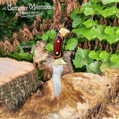 Shark Adventure Blade with Leather Sheath - Precision & Durability