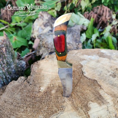 Hand-Engraved Brass Bolster Stainless Steel Blade for Outdoor Use