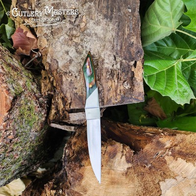 DW Elegance Stainless Steel Outdoor Tool with Colorwood Handle