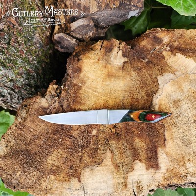 DW Elegance Stainless Steel Outdoor Tool with Colorwood Handle