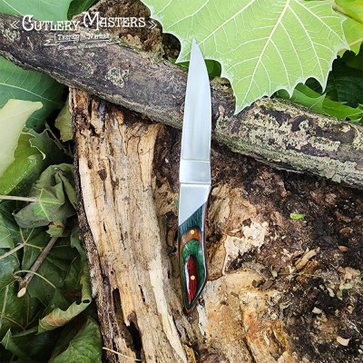 DW Elegance Stainless Steel Outdoor Tool with Colorwood Handle