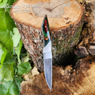 DW Elegance Stainless Steel Outdoor Tool with Colorwood Handle