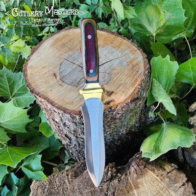 Spear Tip Premium Stainless Steel Outdoor Blade with Colorwood Handle