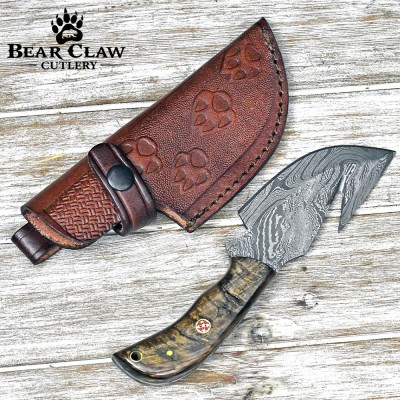 Damascus Gut Hook Knife with Ram Horn & Turquoise Handle