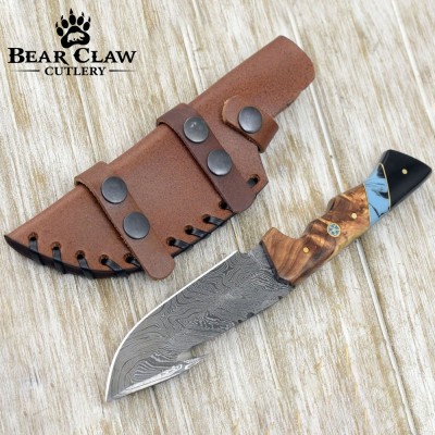 Morph Gut Hook Hunting Knife | Olive Wood & Turquoise Handle