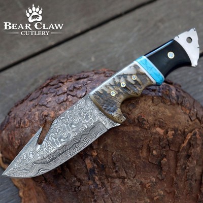 Damascus Gut Hook Knife with Ram Horn & Turquoise Handle