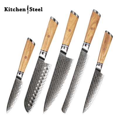 Jasmine 5-Piece VG10 Damascus Steel Knife Set – Pro Chef Knives