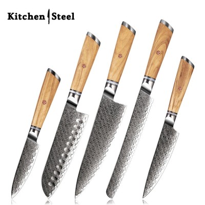 Jasmine 5-Piece VG10 Damascus Steel Knife Set – Pro Chef Knives