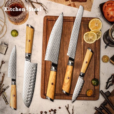 Jasmine 5-Piece VG10 Damascus Steel Knife Set – Pro Chef Knives