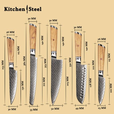 Jasmine 5-Piece VG10 Damascus Steel Knife Set – Pro Chef Knives