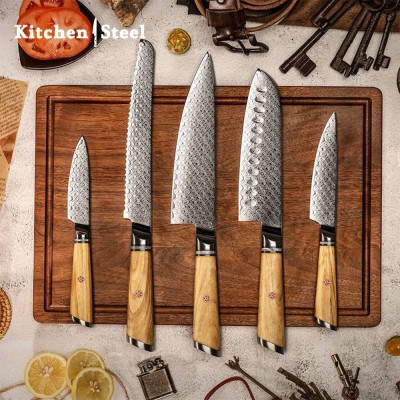 Jasmine 5-Piece VG10 Damascus Steel Knife Set – Pro Chef Knives