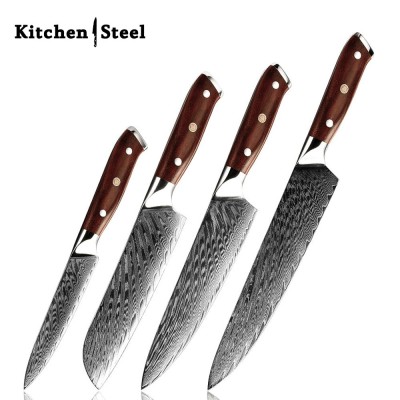 Splendor 4-Piece VG10 Damascus Steel Knife Set – Pro Chef Knives