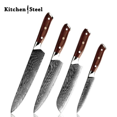 Splendor 4-Piece VG10 Damascus Steel Knife Set – Pro Chef Knives