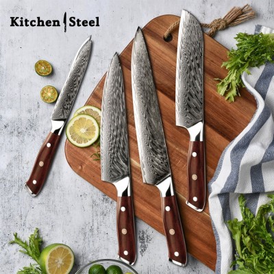 Splendor 4-Piece VG10 Damascus Steel Knife Set – Pro Chef Knives