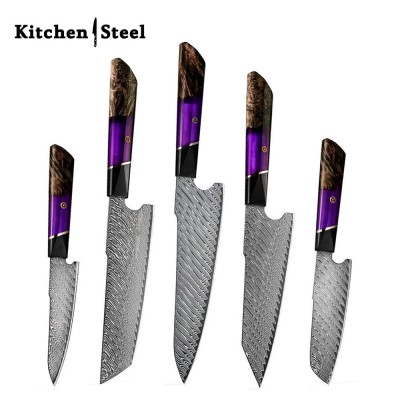 Elite VG10 Damascus Knife Set with Exotic Burl Wood Handle