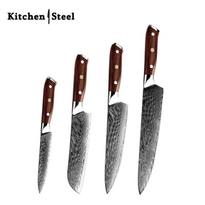 Splendor 4-Piece VG10 Damascus Steel Knife Set – Pro Chef Knives