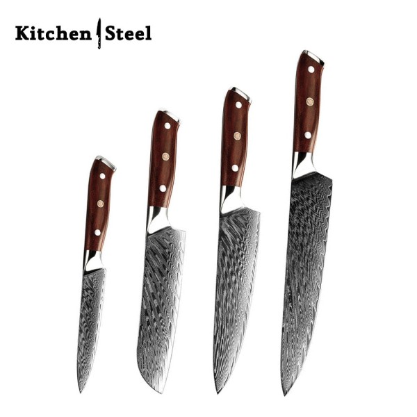 Splendor Knife Set 4 Piece VG10 Damascus Steel with Pakkawood Handle