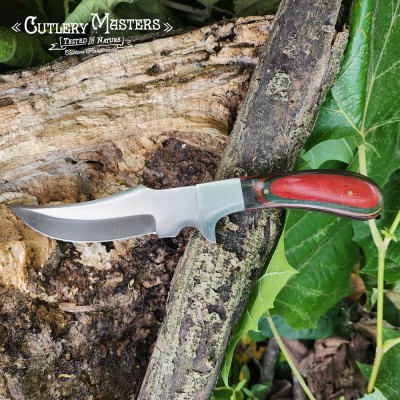 Ozark Mountain Adventure: Ultimate Outdoor Companion Tool