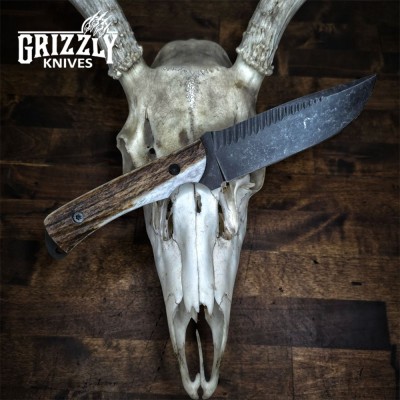 Lone Wolf Knife – AEB-L Stainless Steel Blade with Antler Handle