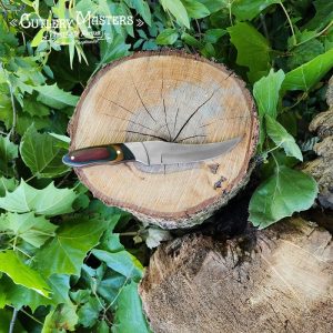 Buck Stainless Steel Blade