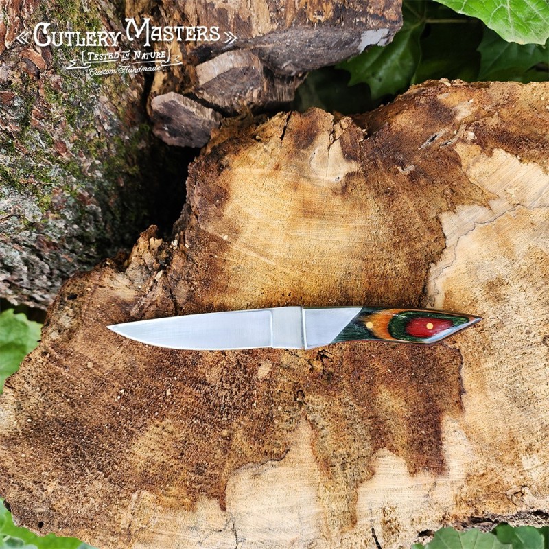 DW Elegance Stainless Steel Outdoor Knife with Colorwood Handle