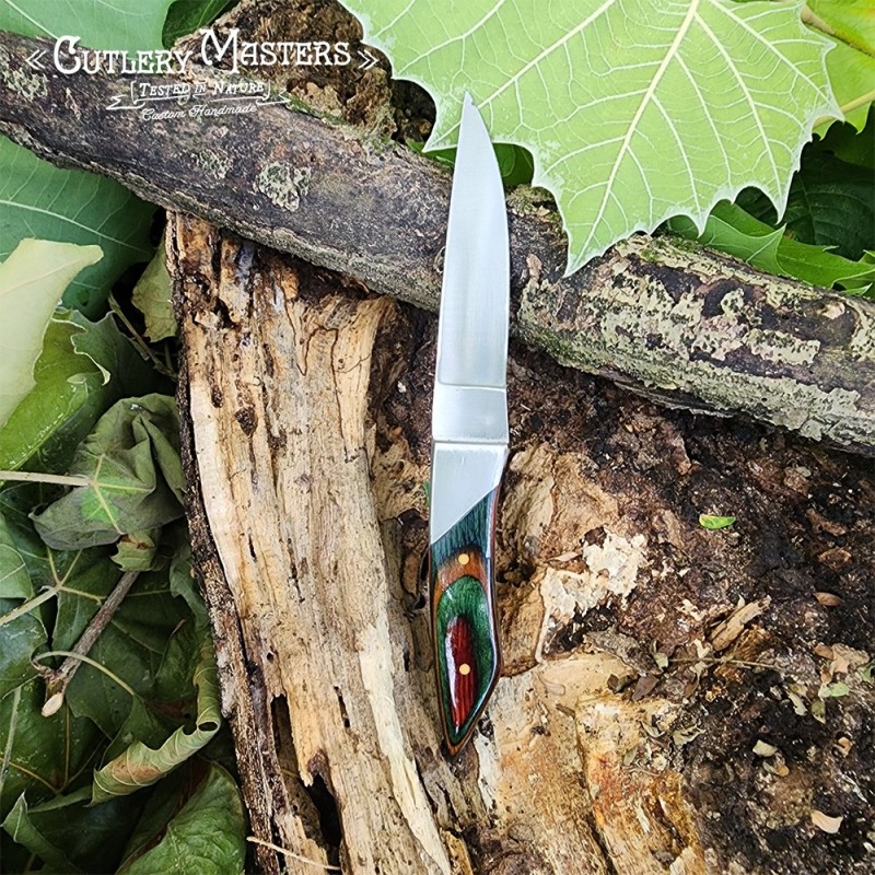 DW Elegance Stainless Steel Outdoor Knife with Colorwood Handle