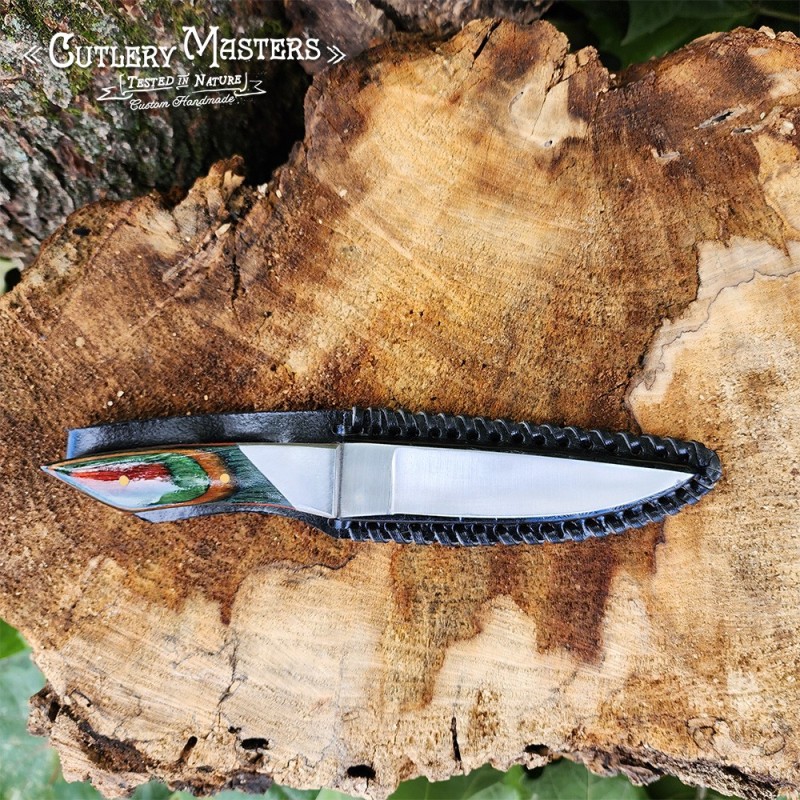 DW Elegance Stainless Steel Outdoor Knife with Colorwood Handle